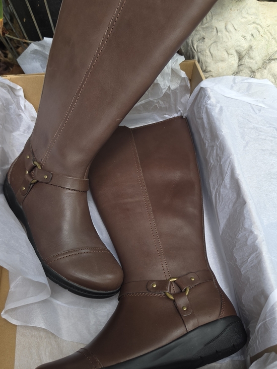 Clarks Shoes - NIB Women's Brown Tall Riding Boots